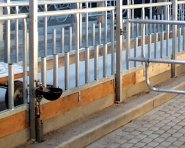 Ydre-Grinden (Pinnfront)