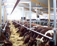 Ydre-Grinden (Nackbom)